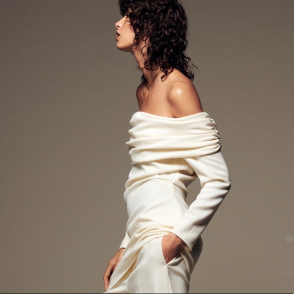 NWT ZARA LIMITED EDITION TOP